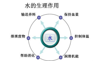 美国水质协会认证2